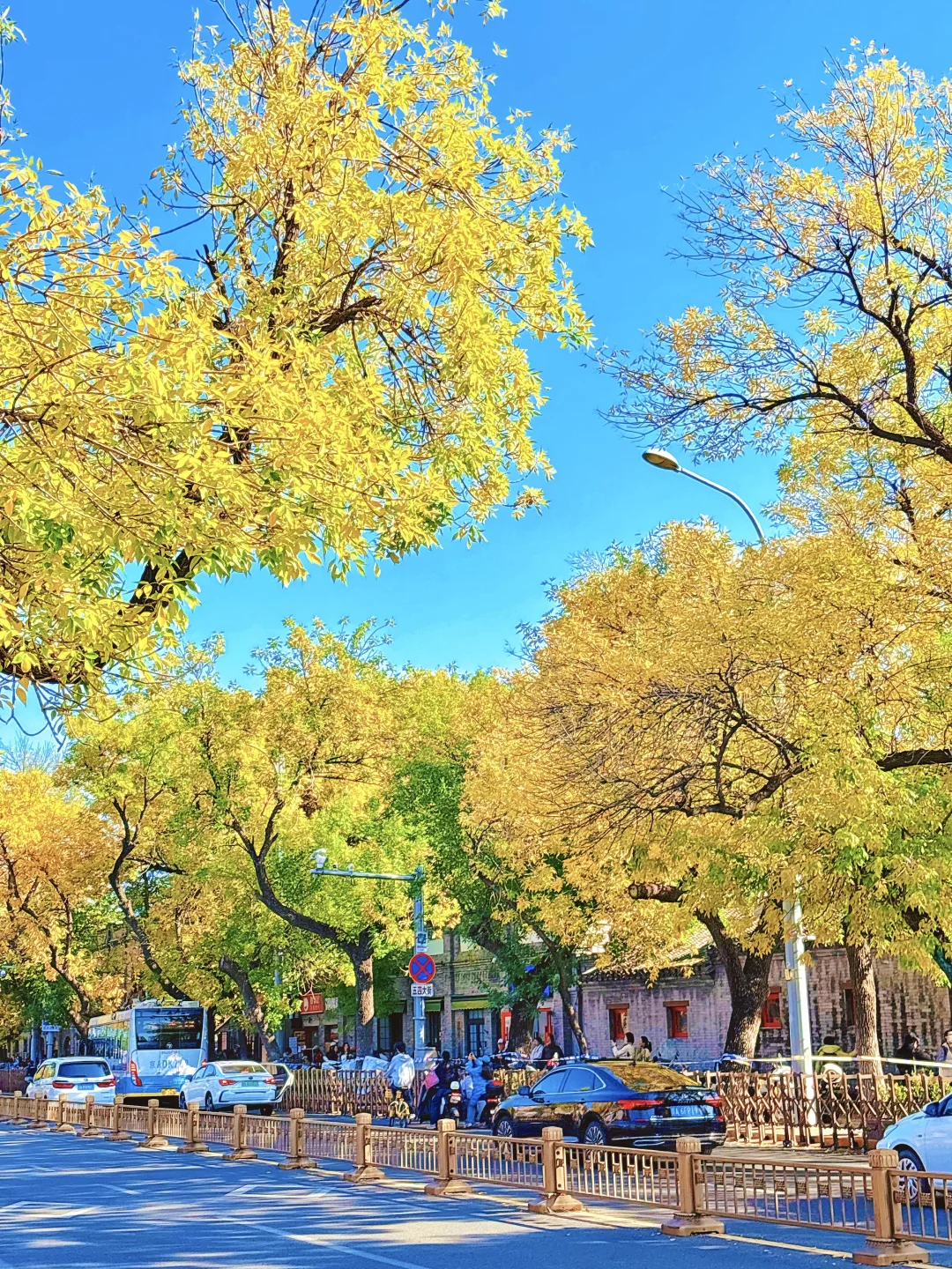 后来我逢人便说🍂深秋的北京城有多浪漫…