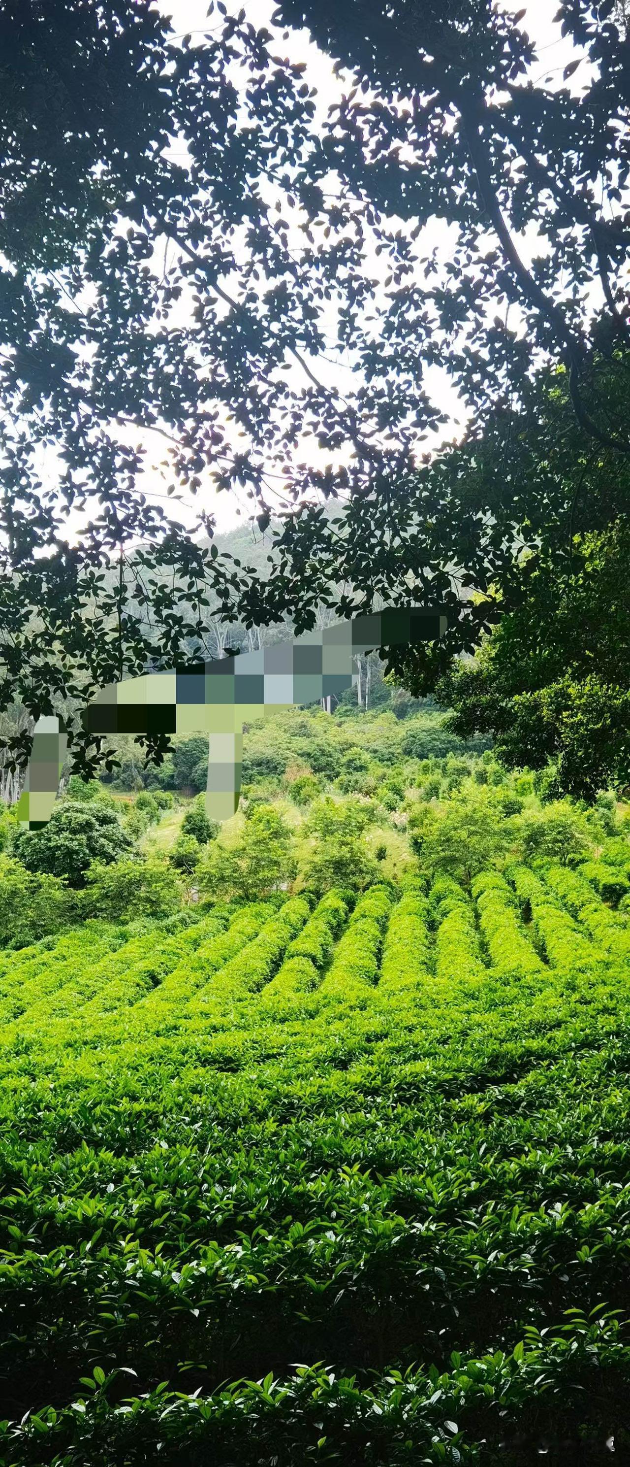 【小对联】
上：……？
下：丈夫。