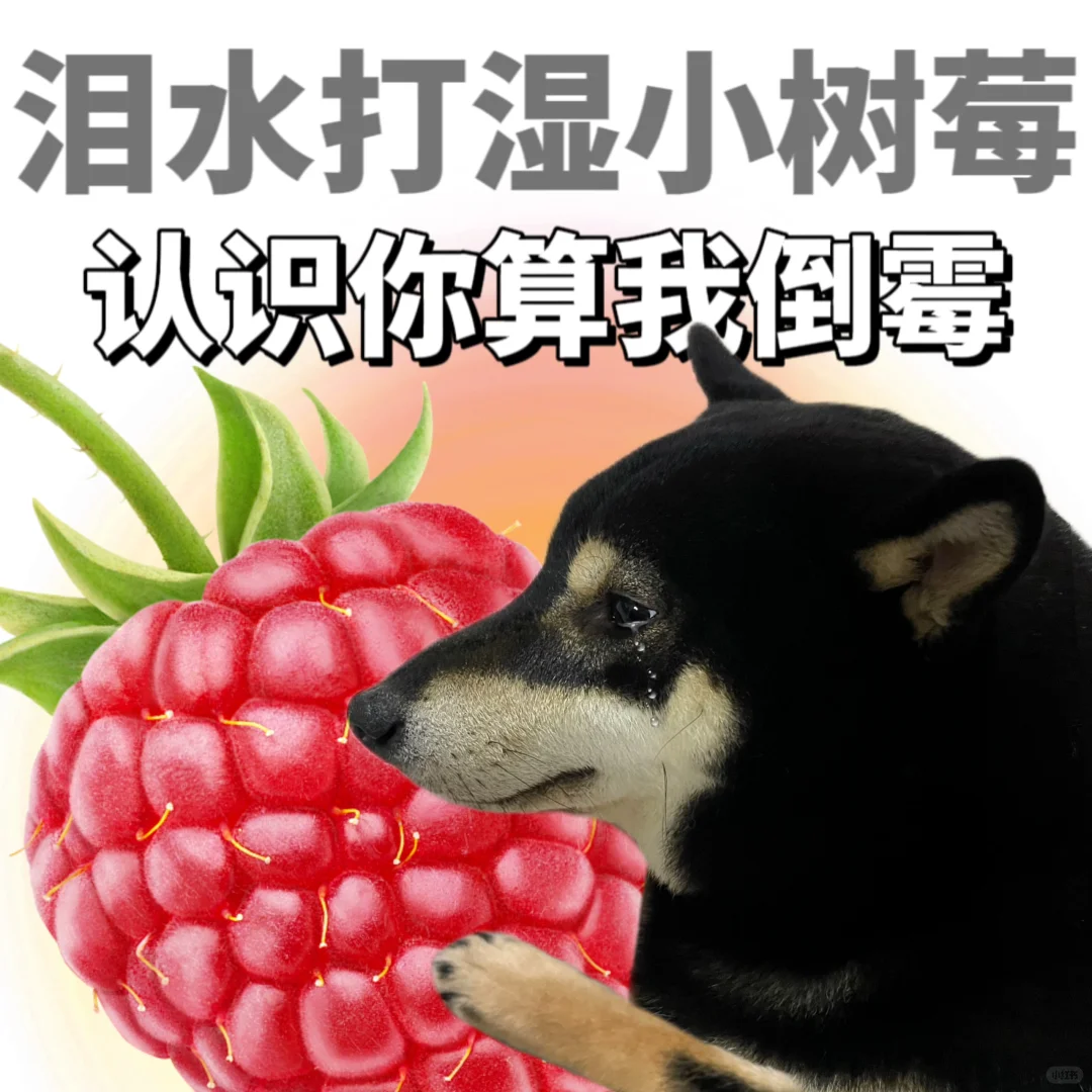 表情包|泪水打湿系列☺（损友版）