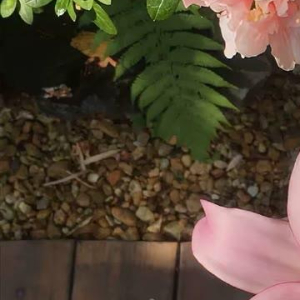 大周朝，济州府，江陵县，桐城镇。“崔火火，你在哪？赶紧出来，我们回家了。”太阳刚