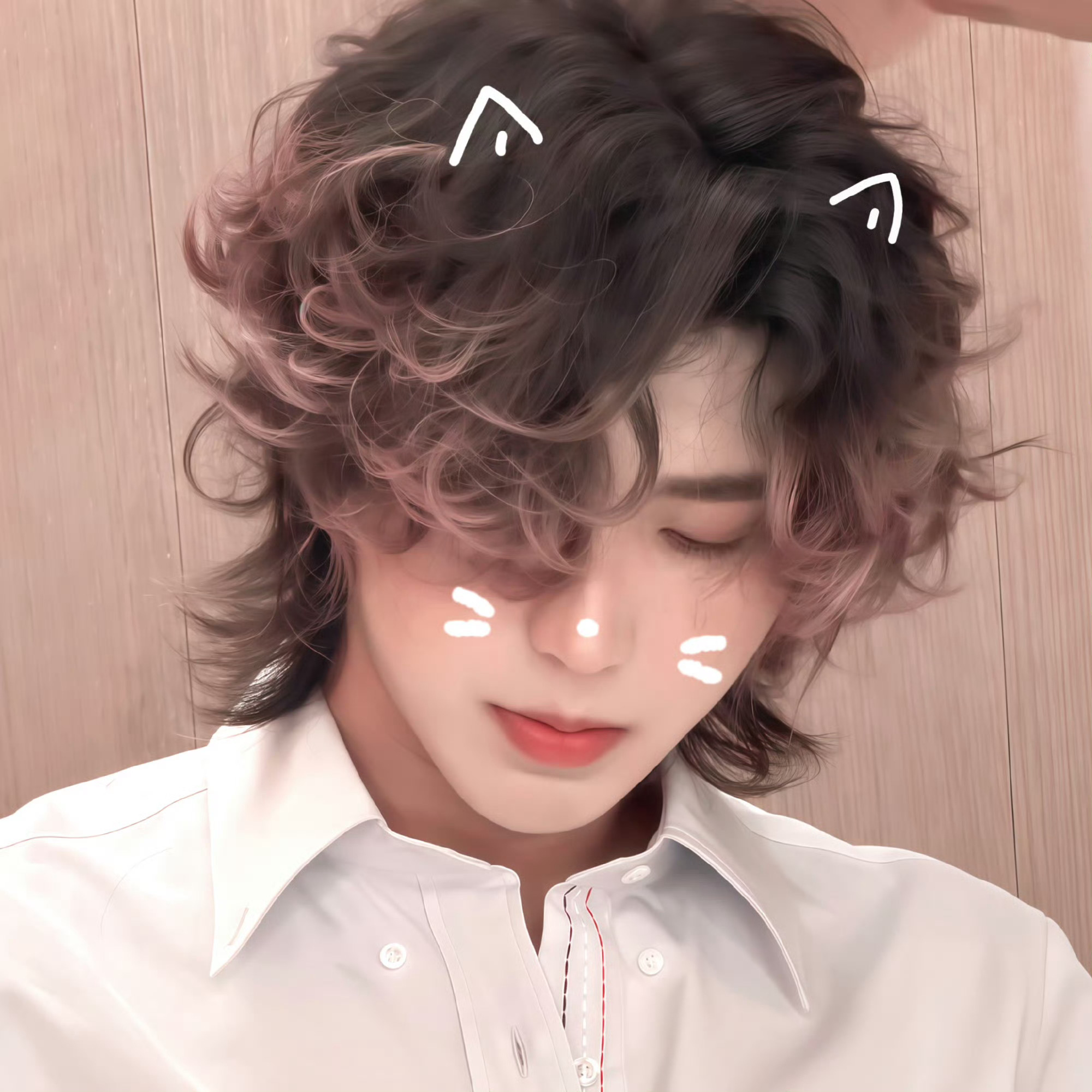 小猫本体！猫塑天花板！小猫至尊！小猫神王！喵界大帝！ 喵主陛下  ！喵星帝王！王