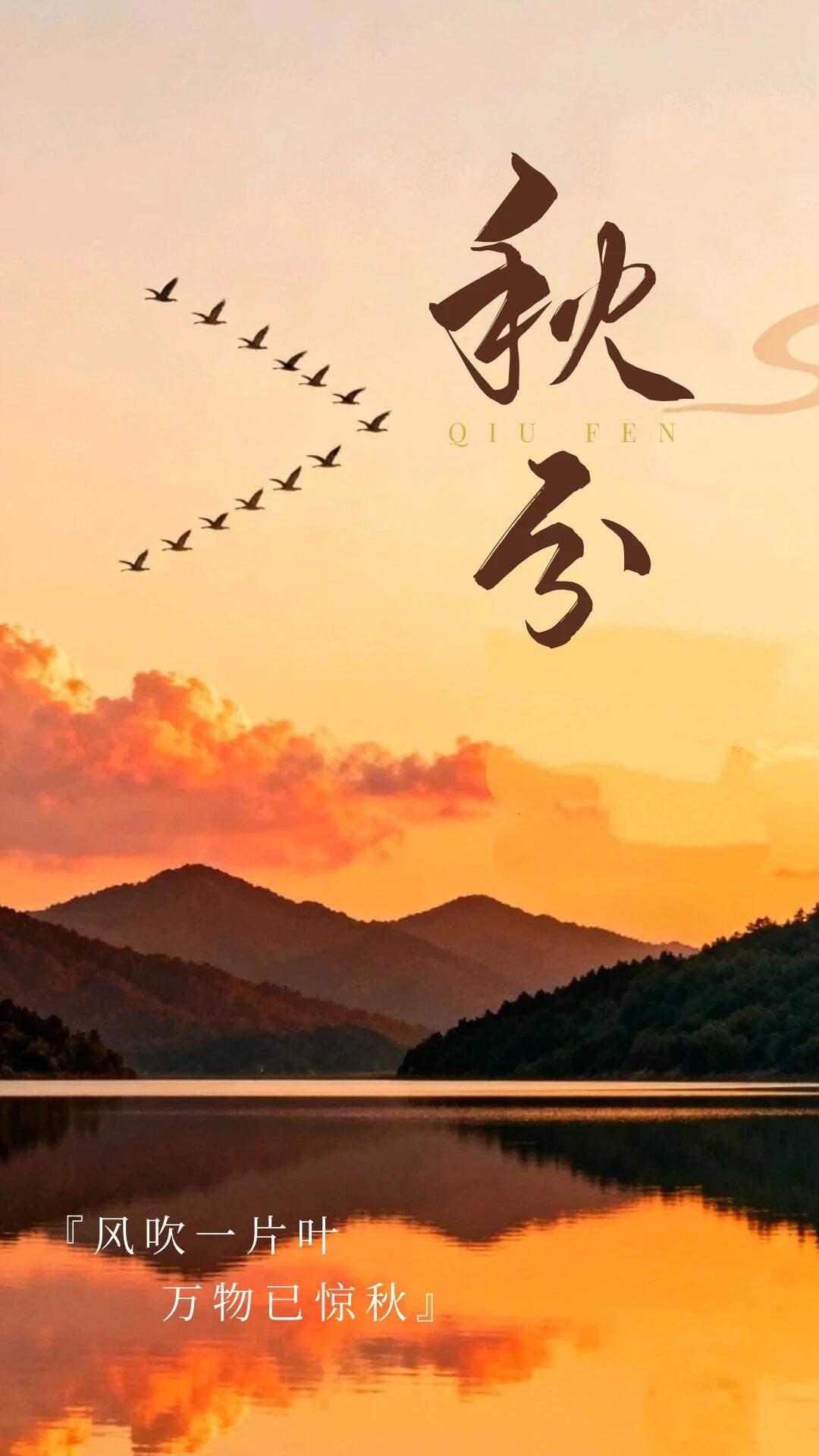 秋分手机壁纸～秋叶飘落平分秋色，万物静敛岁月安然