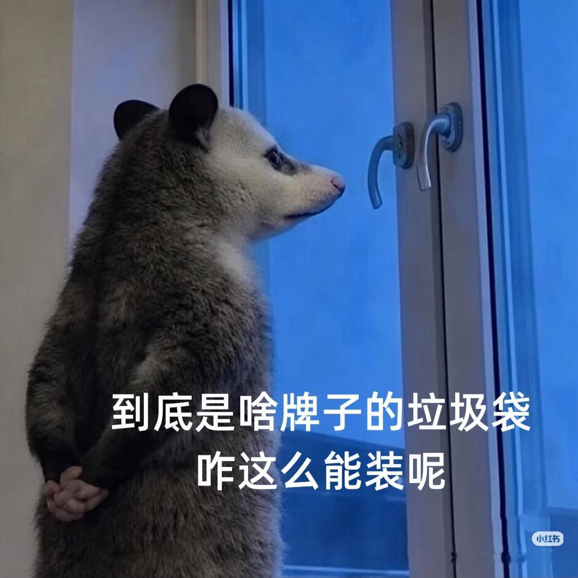 分享图片 ​​​