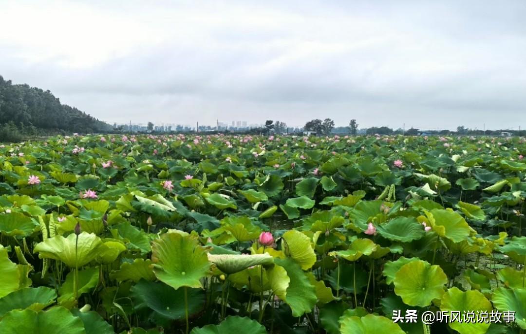 ❤️时代不会为过去的功劳簿买单，只会为当下的价值兑现奖励，弱者习惯观望，勇者始终