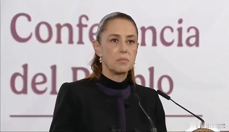 墨西哥总统辛鲍姆表示，所有行动均由墨西哥联邦部队独立执行，美军未参与，但双方有情