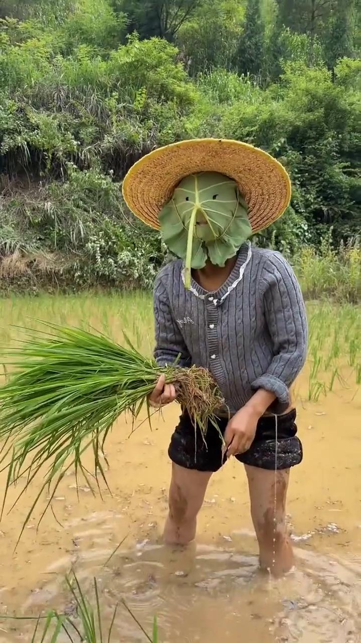 你别笑。