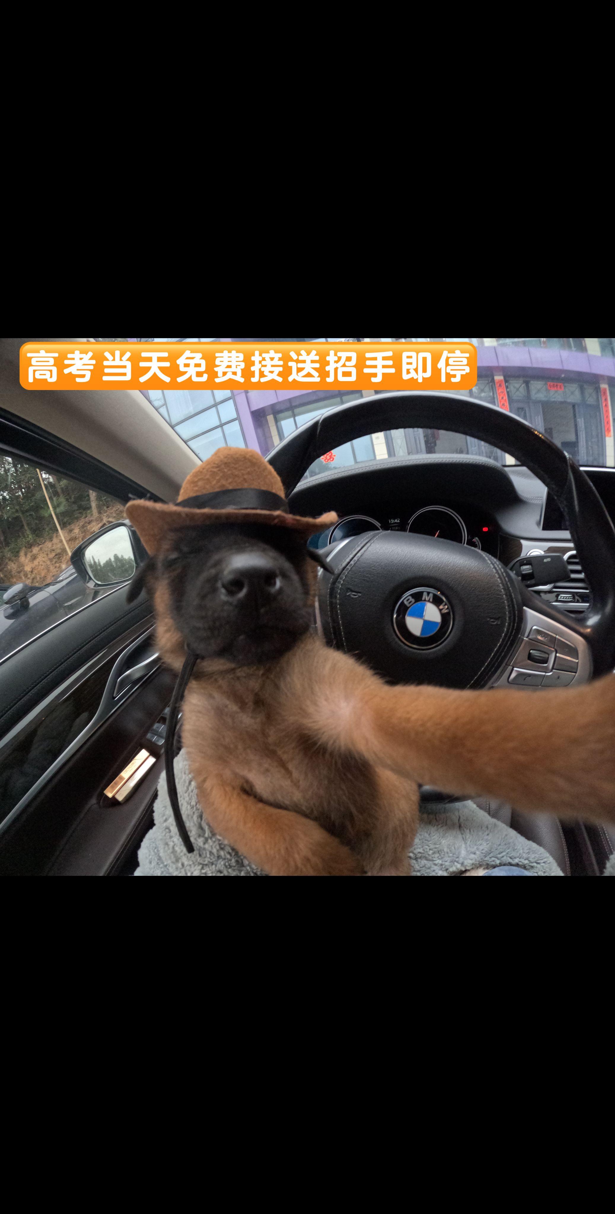 助力高考当天免费接送。