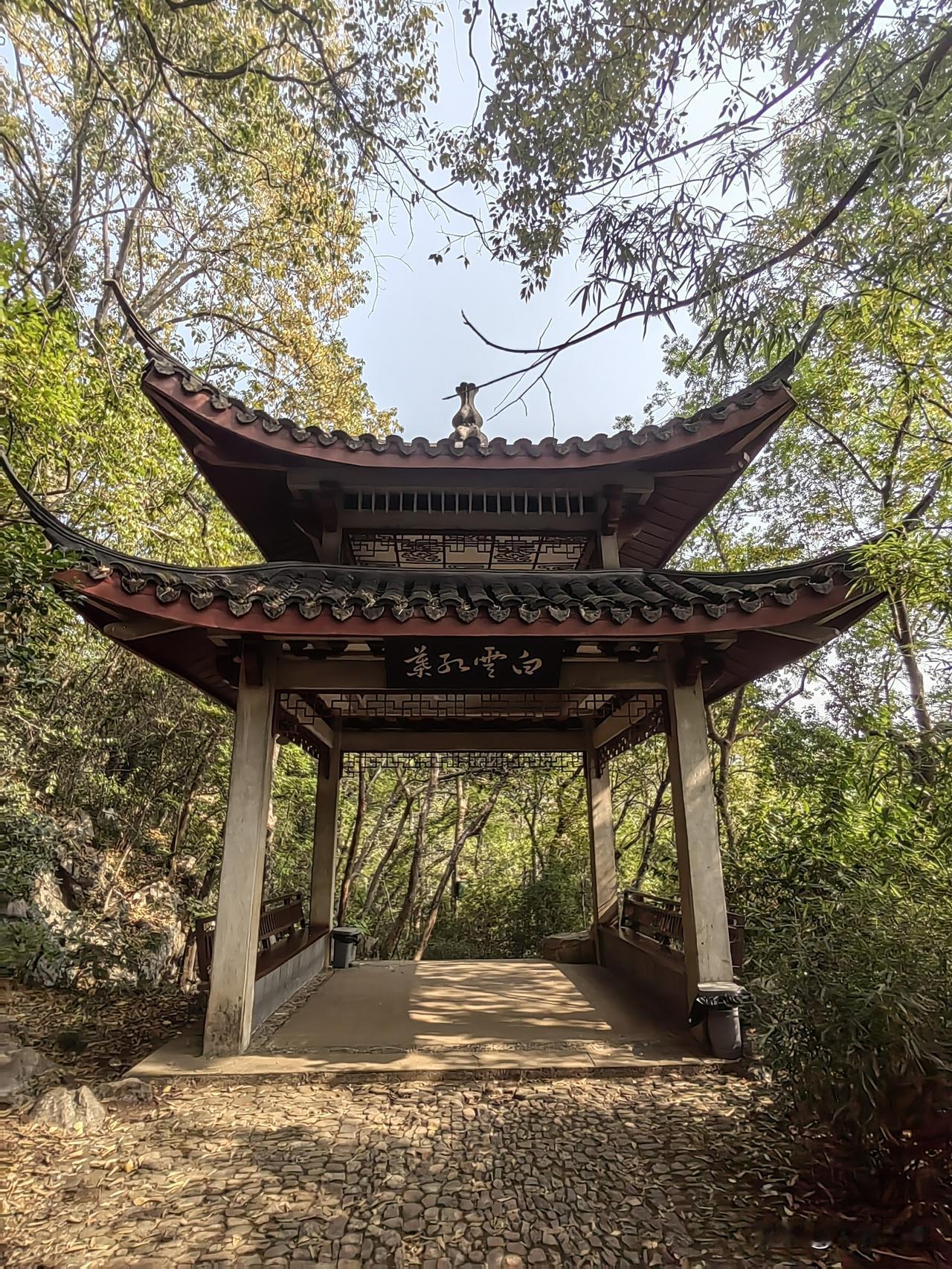 产生这么多姐弟恋的背景

        现在盛行姐弟恋，打开一众交友软件，大量