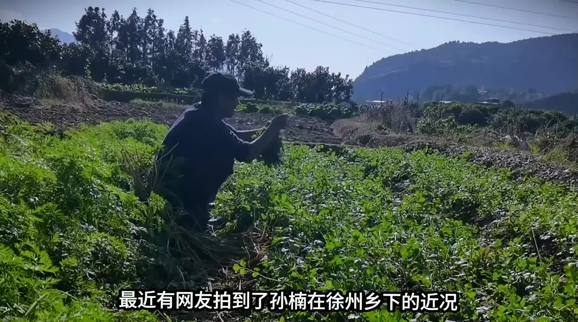 孙楠近况曝光：在乡下小院种菜，而前妻买红妹的状态让人意外#娱