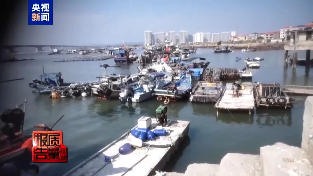 福建一无人岛现巨大垃圾天坑，央视曝光：非法包船公开拉客，人多
