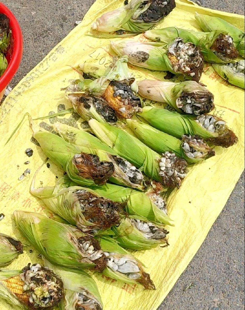 今天在市场看到一位大妈在卖这个，90块钱一斤，我当时都愣住了，这不就是以前乡下地