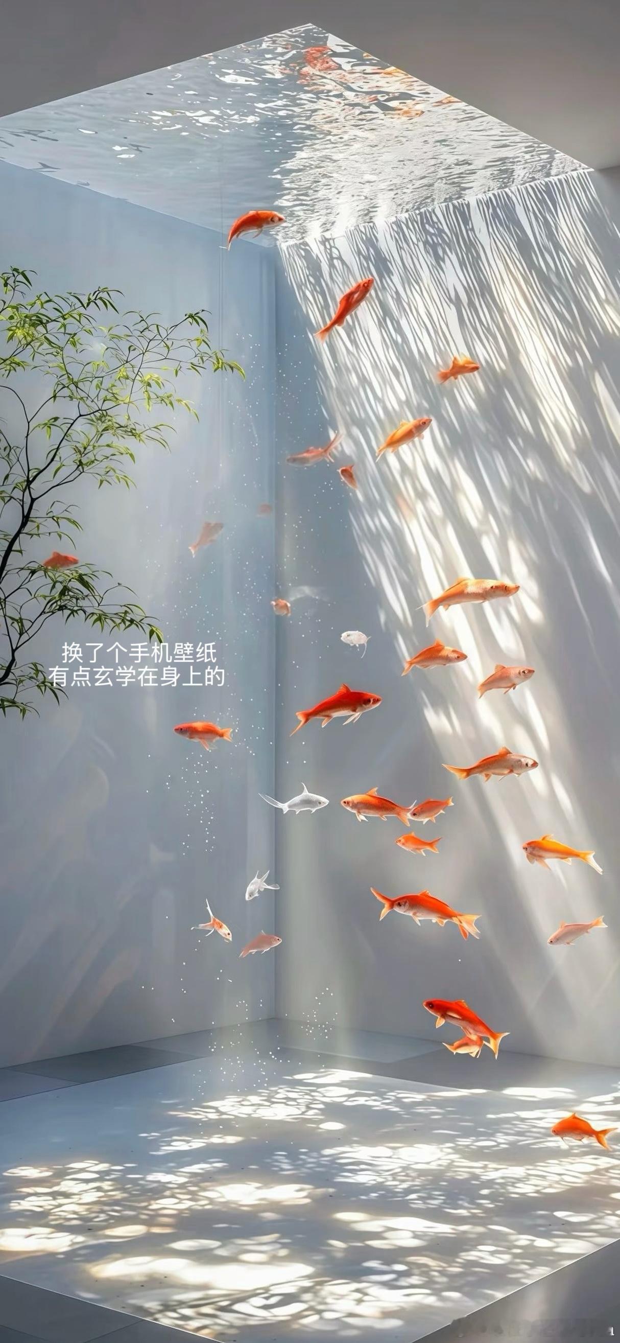 plog 一些碎片🧩 