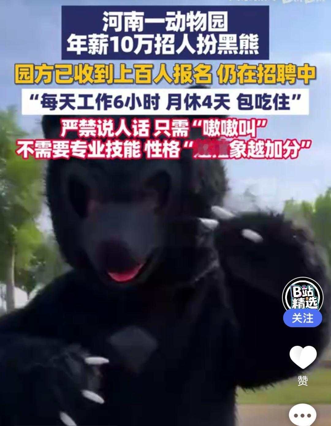 真是没有不敢想的！年薪十万招人装黑熊！

这个标题粗一看以为是马戏团，杂技团或者