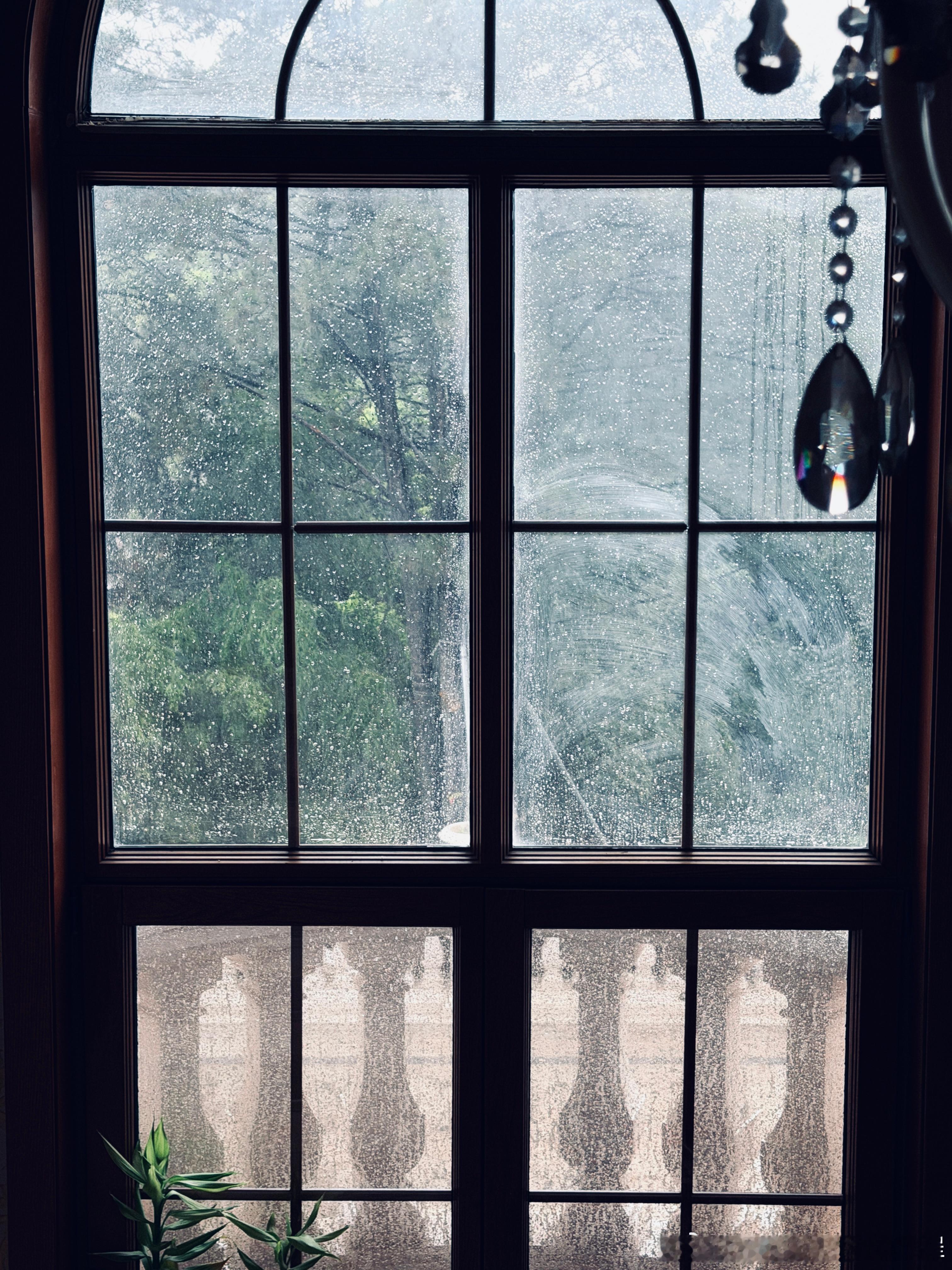 大雨烧烤改期我妈妈包的肉粽世界第一好吃，没拍好，这几天吃太多肉粽，和难喝的芹菜汁