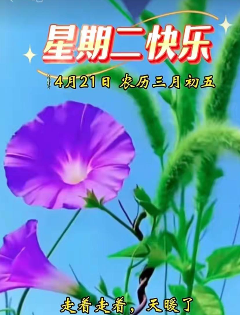 七绝🌿问春🌿

欲问春归意若何，飞红褪尽绿婆娑。
荷尖初露清波里，已送熏风入