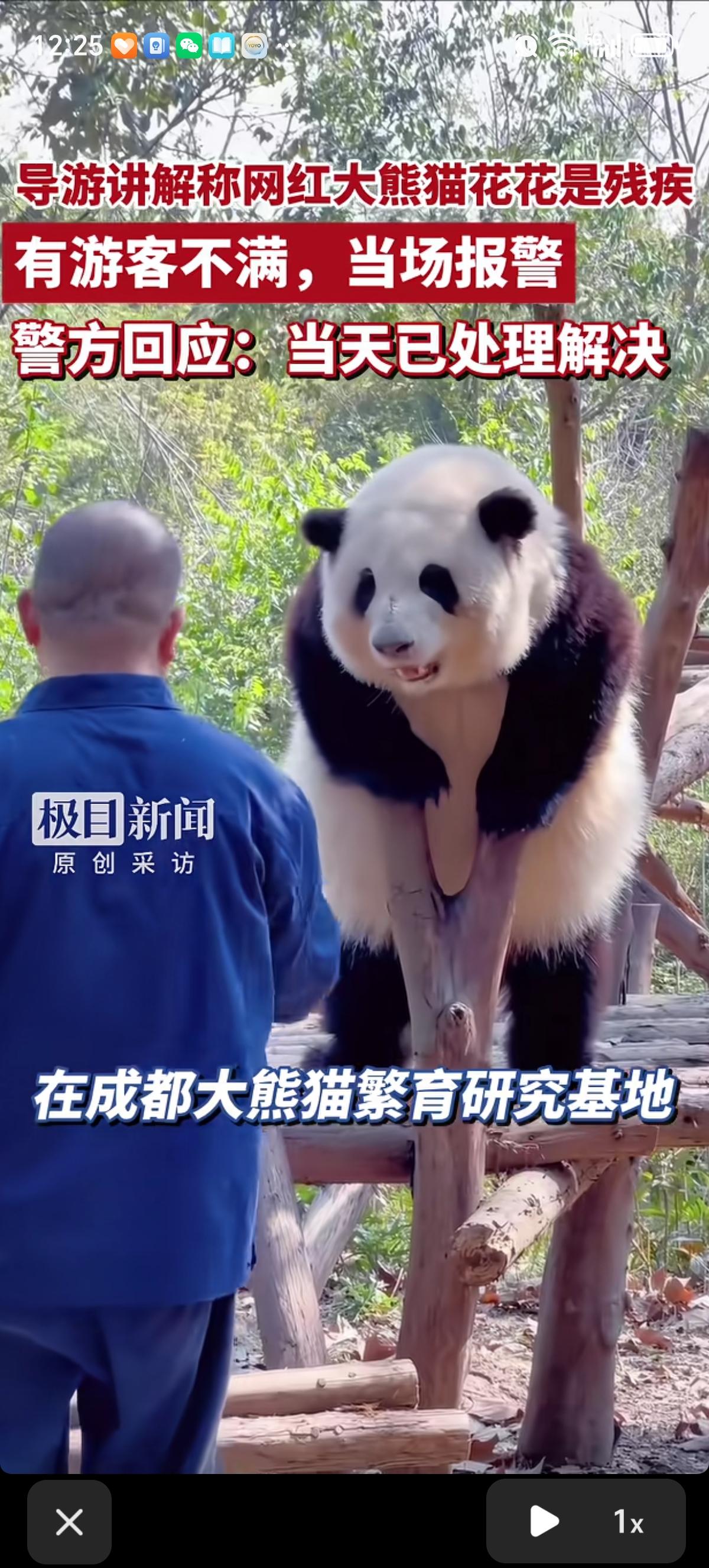 成都大熊猫繁育研究基地内，一名导游在讲解时，用“残疾”“唐氏综合征”等不当词汇形