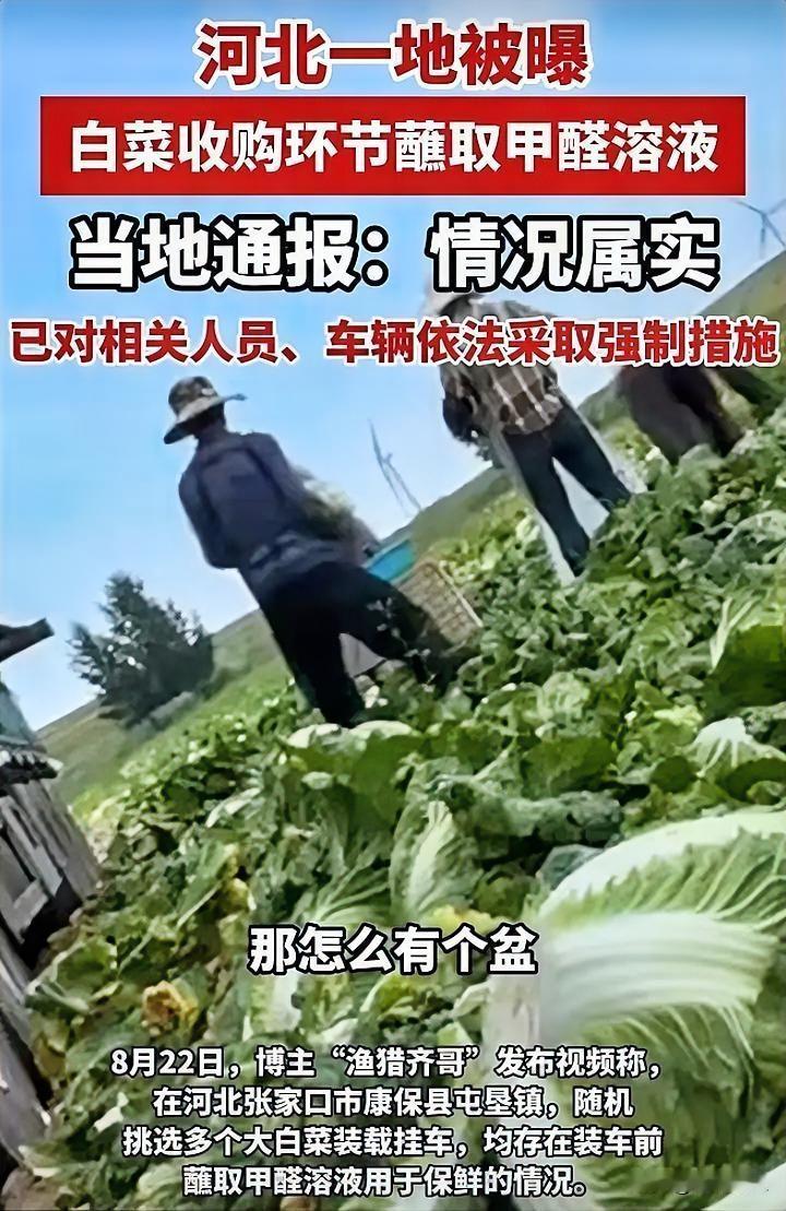 利令智昏！还有这么缺德的吗？

时隔14年，大白菜蘸甲醛重出江湖。8月22日，博
