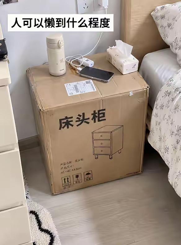 大家觉得这是人太懒了没有拆封，还是人太穷了，买不起床头柜，就是捡一个空纸箱而已呢
