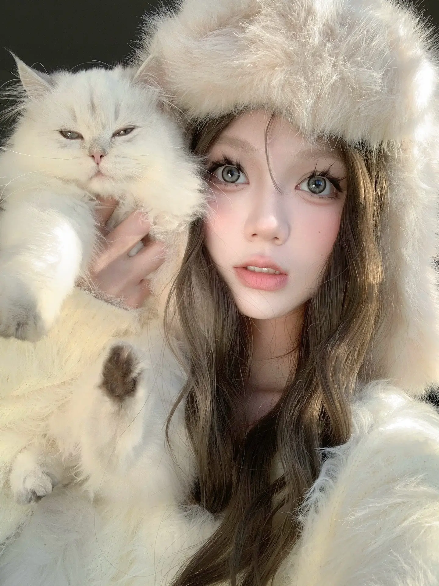泥耗呀˶╹ꇴ╹˶ .ᐟ。