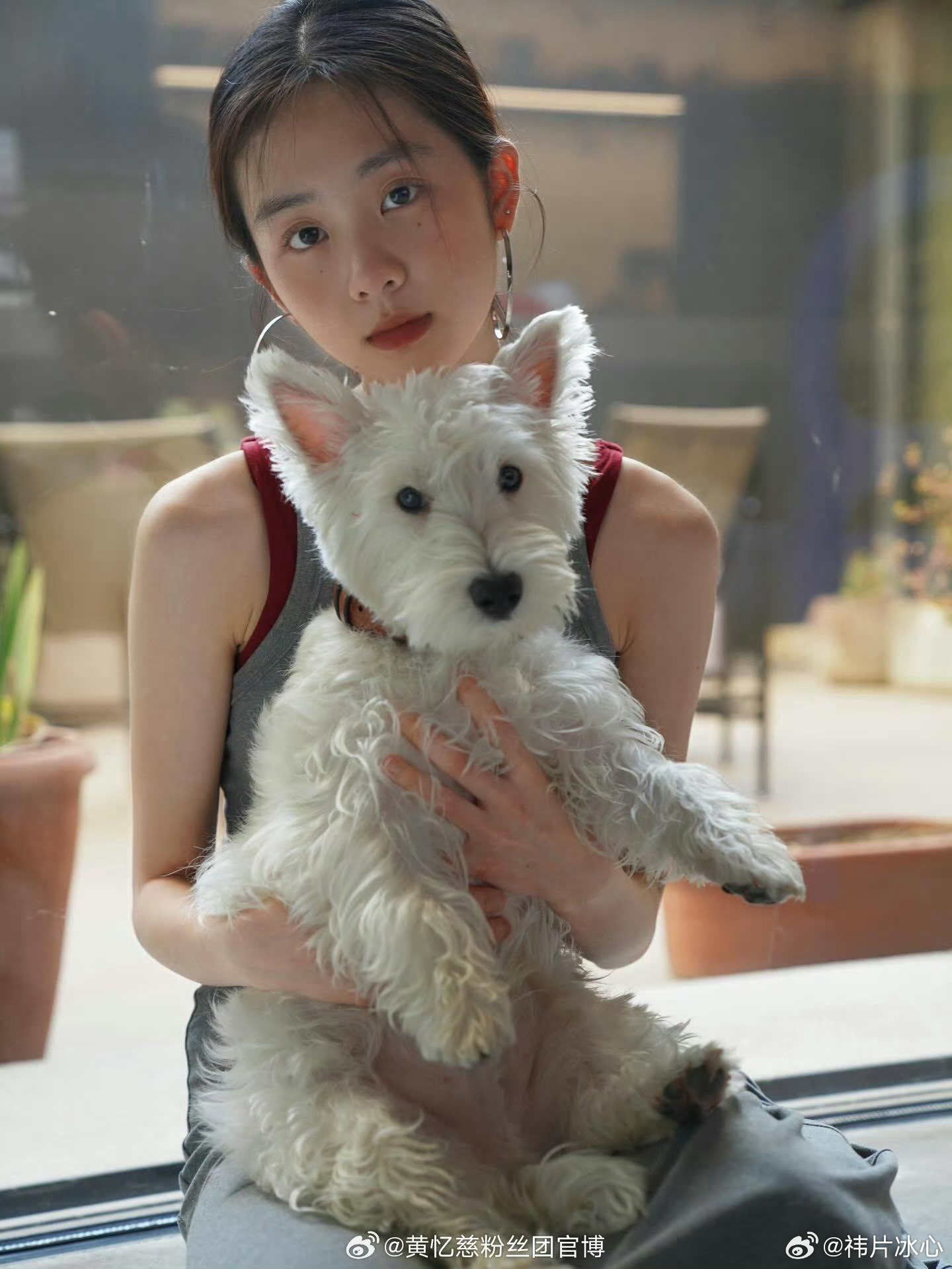 黄多多粉丝团否认百妖谱黄多多粉丝团辟谣百妖谱 黄多多粉丝团否认百妖谱OK啊 