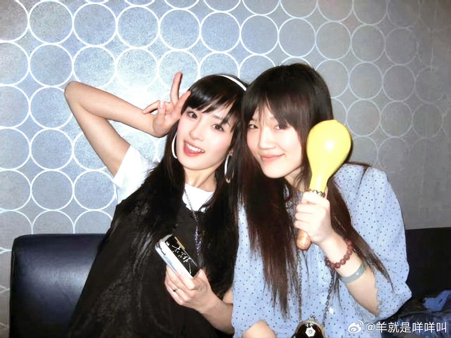 狐狸和猫杨幂和朋友 