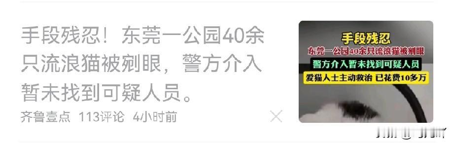 真的是气死我了，虐杀流浪猫的恶魔为什么这么多？

刚刚刷到齐鲁壹点报道的新闻，在