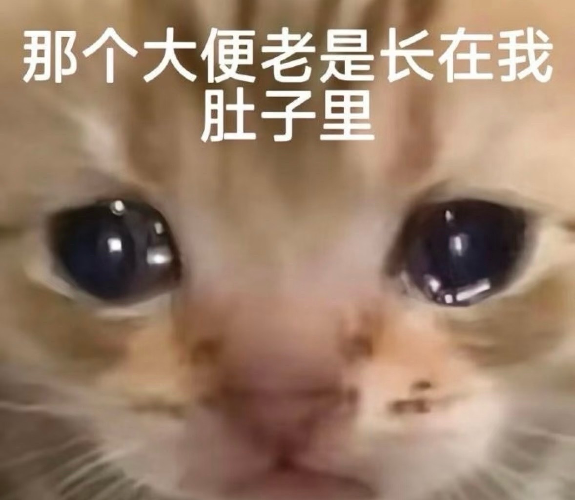 吃东西真是太舒服了 刚下班吃了个华莱士双人餐，没忍住又点了个麻辣烫，吃完在打电话