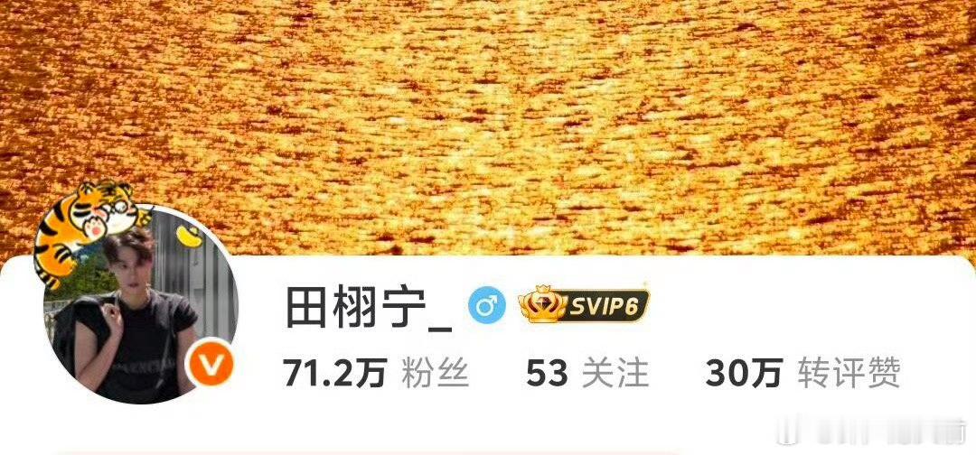田栩宁营业博热度好高，一条微博十分钟评论破万，涨粉30w，zzp多了70w，这飞