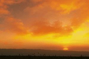 五一东方美学目的地爆火 当旅游遇上东方美学，一场文化盛宴就此开启。“世界水晶之都