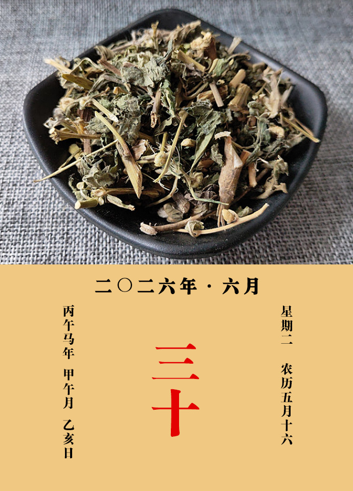 每天一味中草药 《名医别录》载：天名精，除小虫，去痹，除胸中结热，止烦渴，逐水大