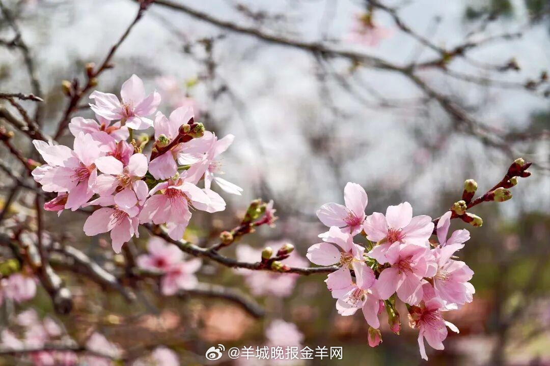 #晚安#接纳自己的不完美，接纳偶尔的脆弱，心有暖阳，何惧风霜，你值得被温柔以待。