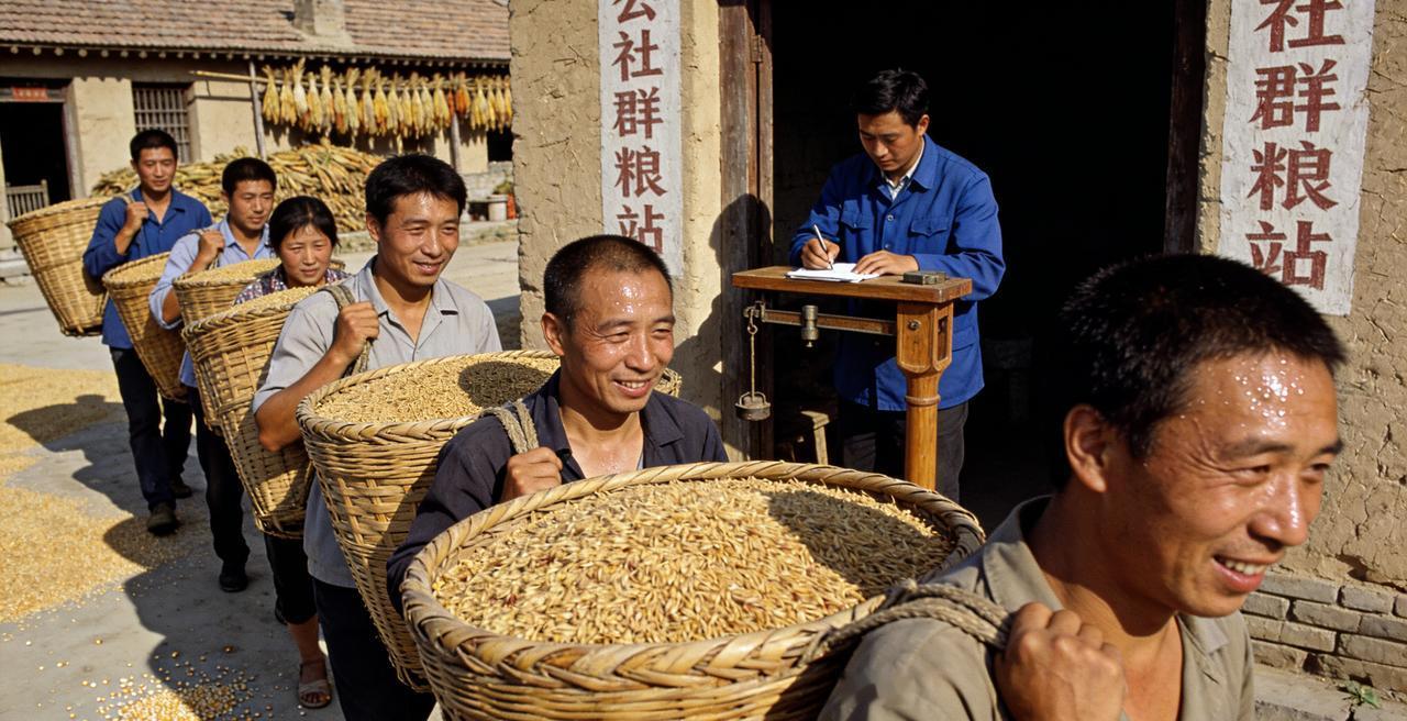 你看到过农民交公粮的场景吗我小的时候就亲自看过父母交公粮，把好的粮食送到粮食所完