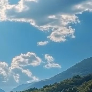 阳光信用 日日行善，久久暖心。生活处处可行善，小事件件见真心。爱护街边流浪生灵，