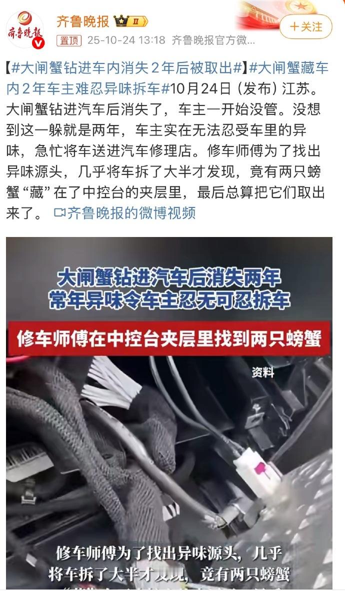 大闸蟹钻进车内消失2年后被取出 ​隔着屏幕都能想象到那味道得多上头，更离谱的是两