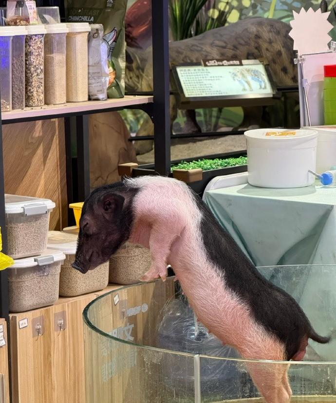 一些平平淡淡的小日常 ᴗ
刚拍的寿司看着就让人食欲大开，心情瞬间变好啦！随手记录