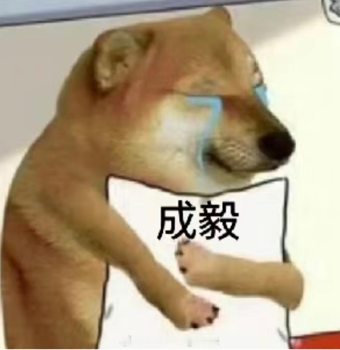 啊啊啊啊啊啊啊啊~~~~好高好壮好男大~~~~呜呜呜~~~~😭😭😭 