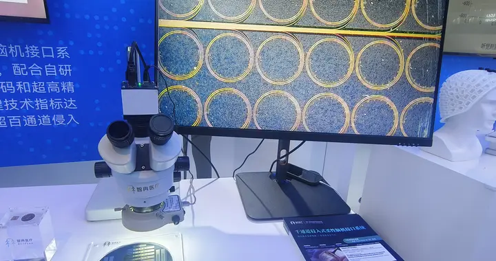 侵入式腦機接口一大痛點解決！可拉伸柔性電極不易脫落