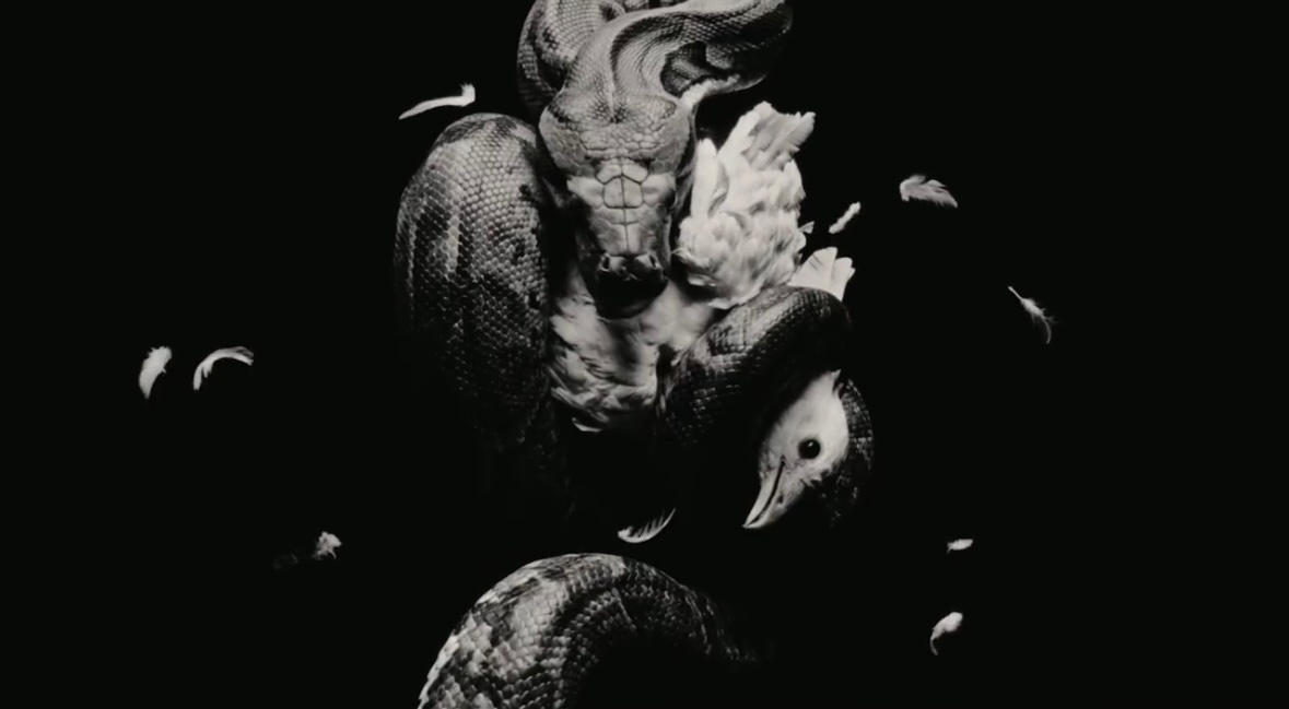 4.1凌晨严浩翔新歌《FLY》上线，都来欣赏的暗黑美学的艺术品，这一次，不设限，