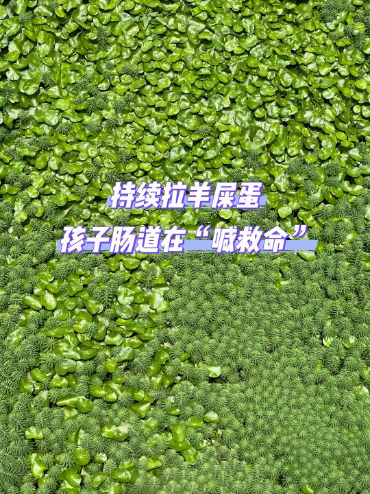 持续拉羊屎蛋，孩子的肠道在喊救命