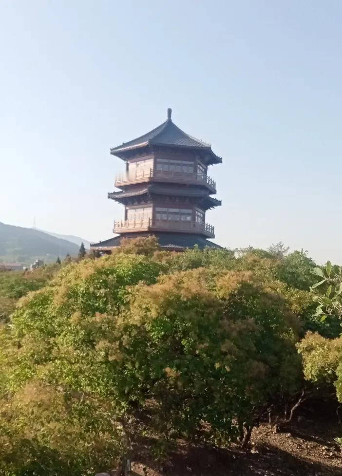 并无什么深意，不过是以大豆换取关税罢了。贸易战起起落落，这般贸易模式能维系多久，