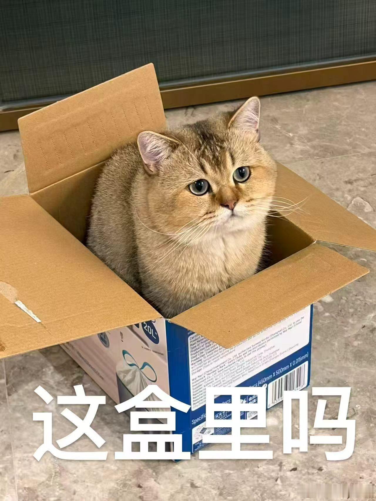 越深入了解健身和人体代谢，就会越发现短视频上大部分减脂理论，本质都是换汤不换药的