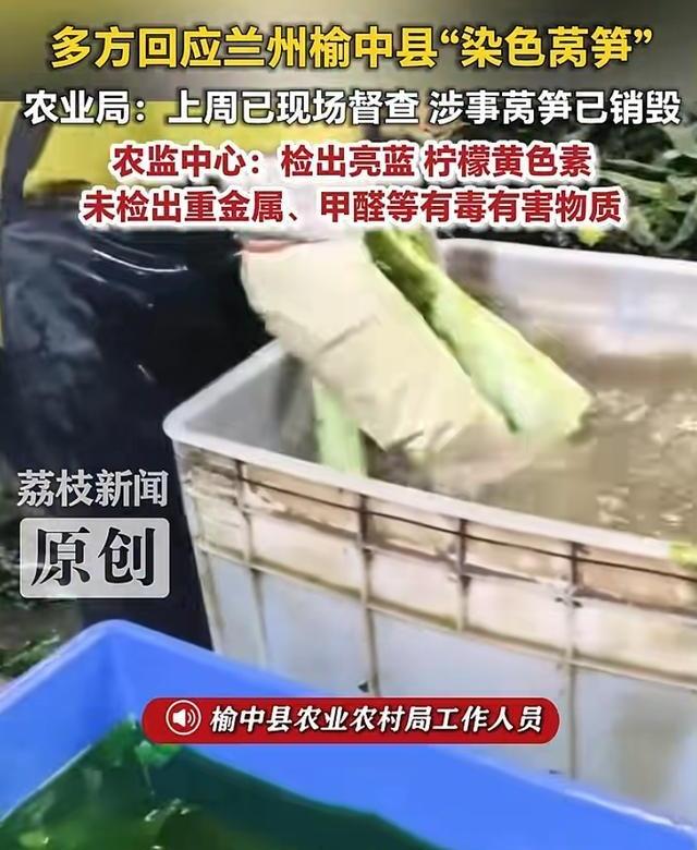 11.8吨莴笋就地销毁！甘肃做得太解气，该狠狠整治批发商

今天先给甘肃兰州的相