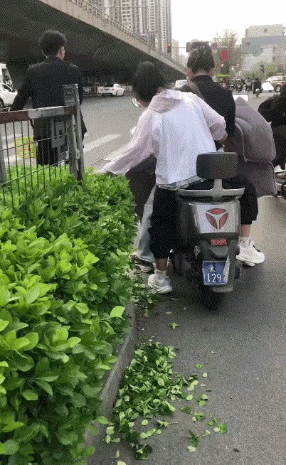 这个小女孩怎么了，是小众的个人爱好，还是纯粹的“手贱”？

一位母亲骑着电动车带