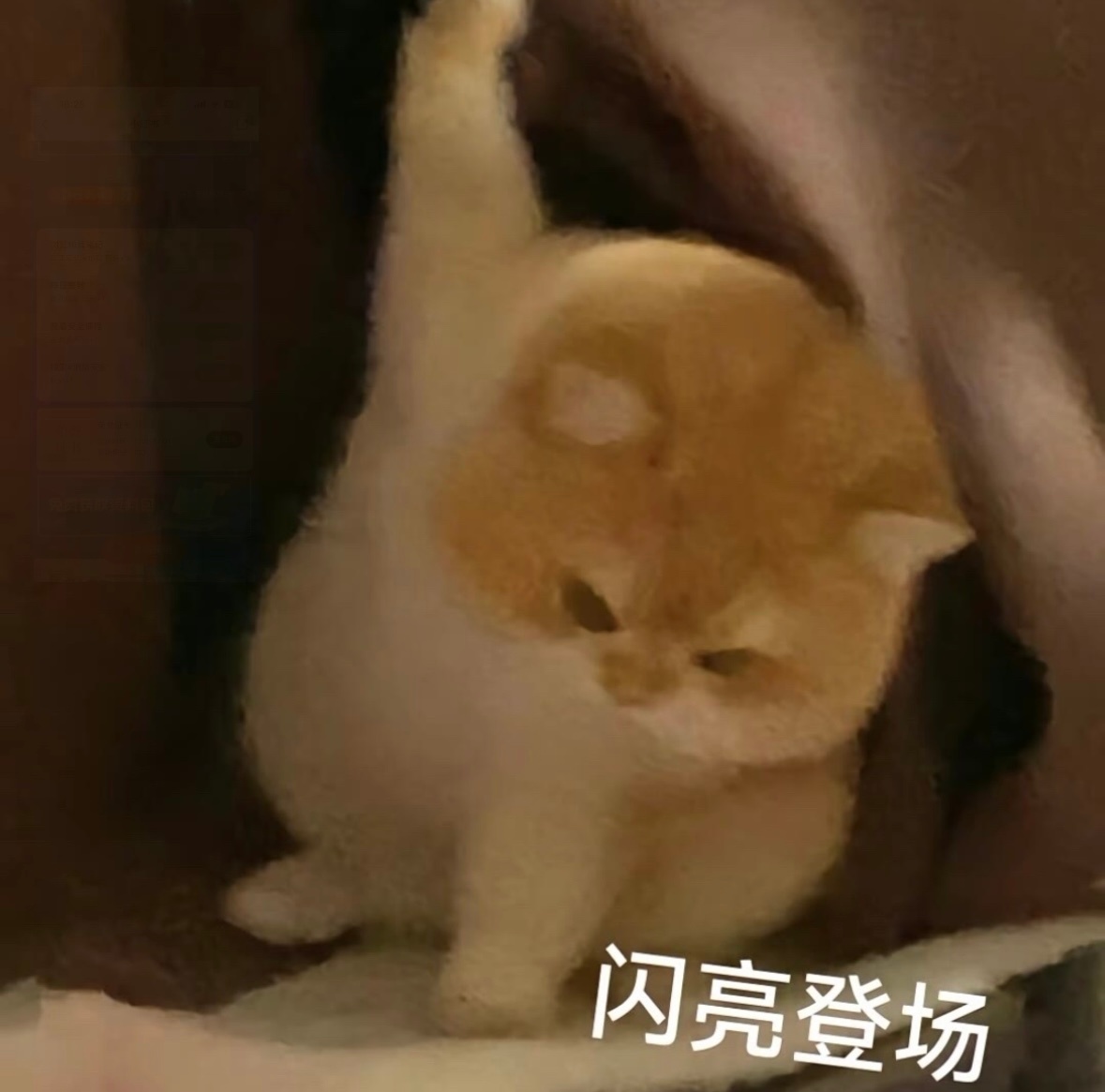 一年了 爱从未改变 ​​​
