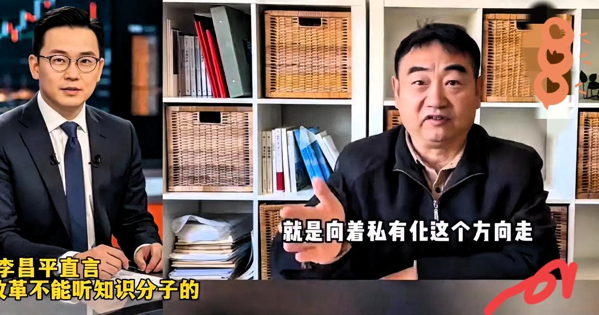 参照李昌平的视频，得出结论：
​​​在中国改革中，倡导私有化的人，一定是一帮子自