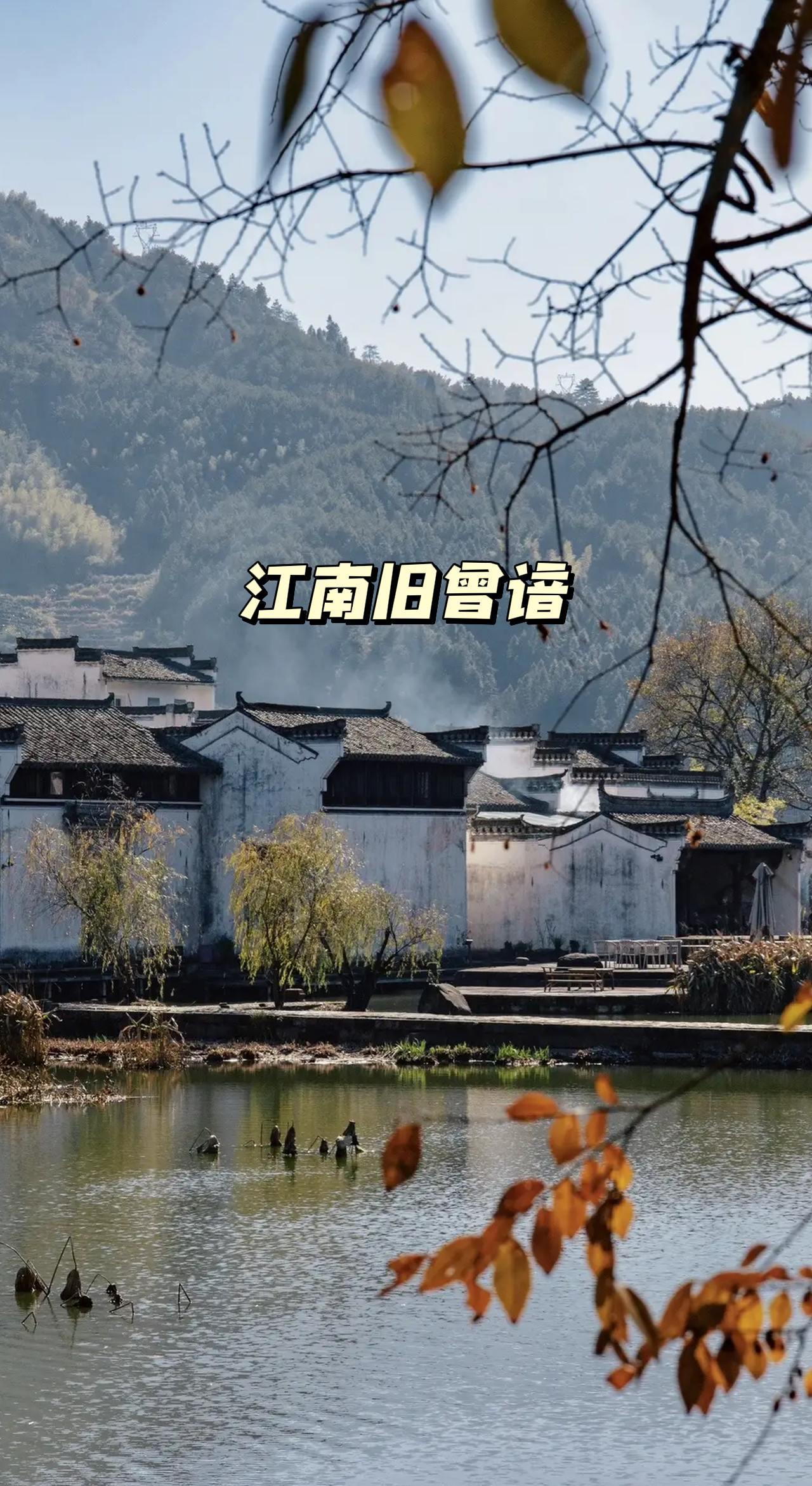 上热门话题🔥 旅行 赏景 冬日生活打卡季