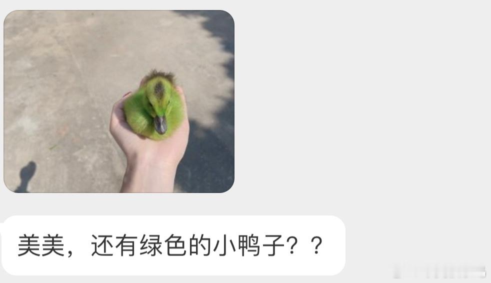 被商家染了色的鸭子🦆还有那种染色小鸡… ​​​