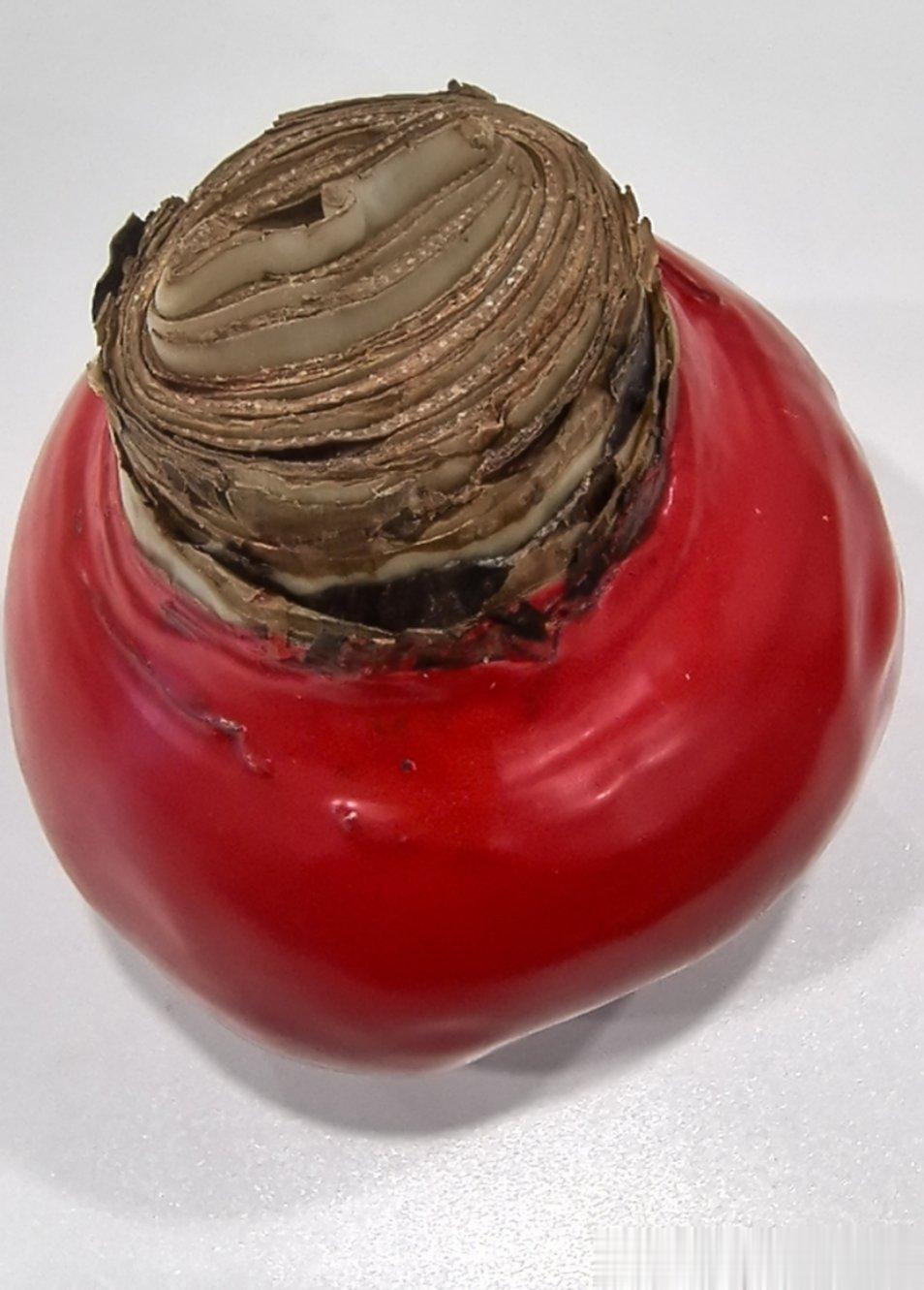 谢谢朋友送的礼物 ​​​