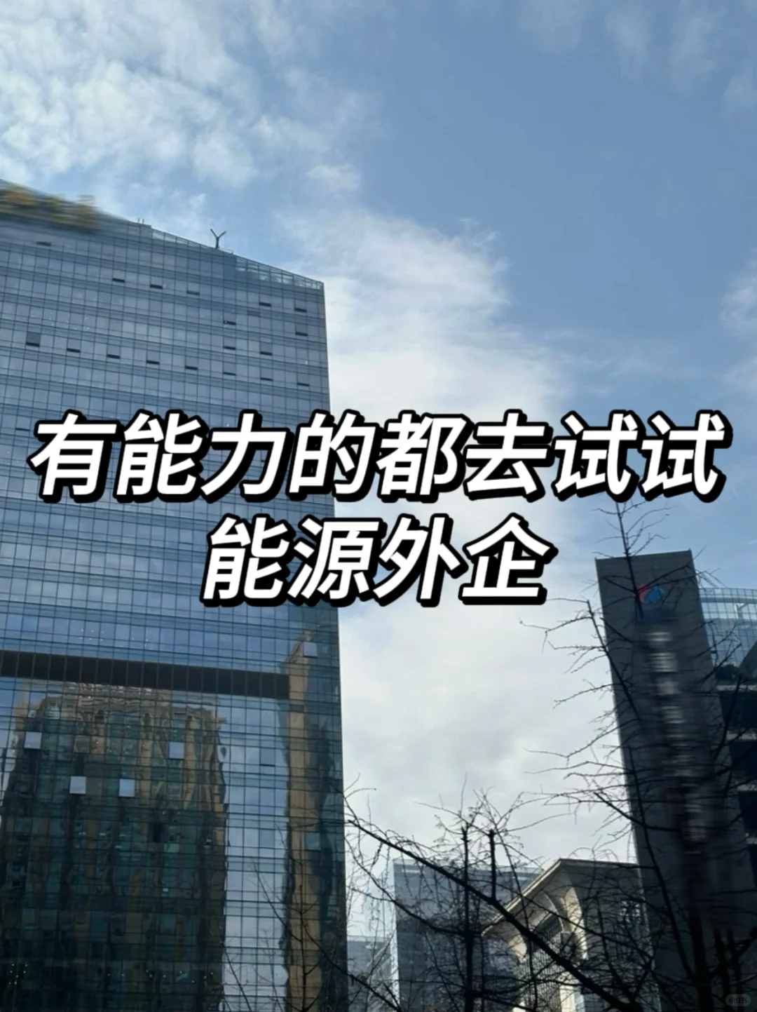 建议有能力的，一定要去试试能源外企