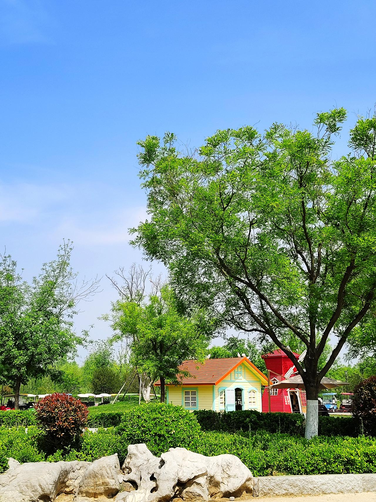 今天上午九点多，我俩走进了济南华山风景区，这里山水交融，到处郁郁葱葱，美的像一幅